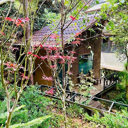 Bazan Home - Hotel & Bungalow Pleiku Bagian luar foto